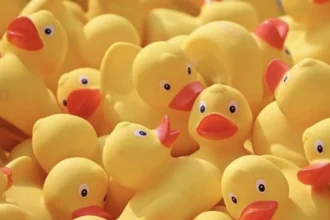 Plastic Ducks Bulk
