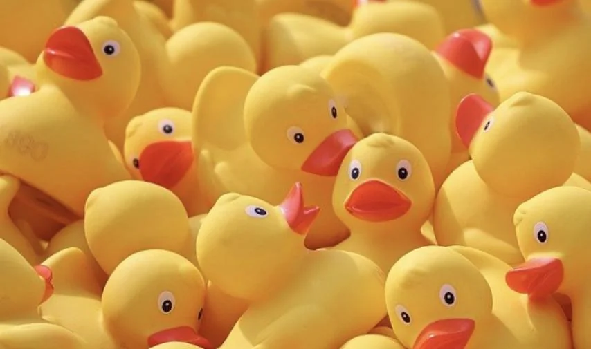 Plastic Ducks Bulk
