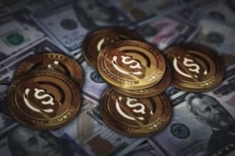 Contact Robthecoins