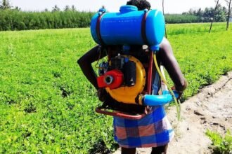 Motorised Knapsack Sprayers