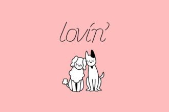 LOVIN: The Practical Guide to Building Deep, Everyday Connection