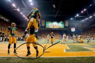 Bisonville: The Ultimate Guide for NDSU Fans