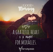 Best Good Morning Wishes in English for Love, Friends, and Family
