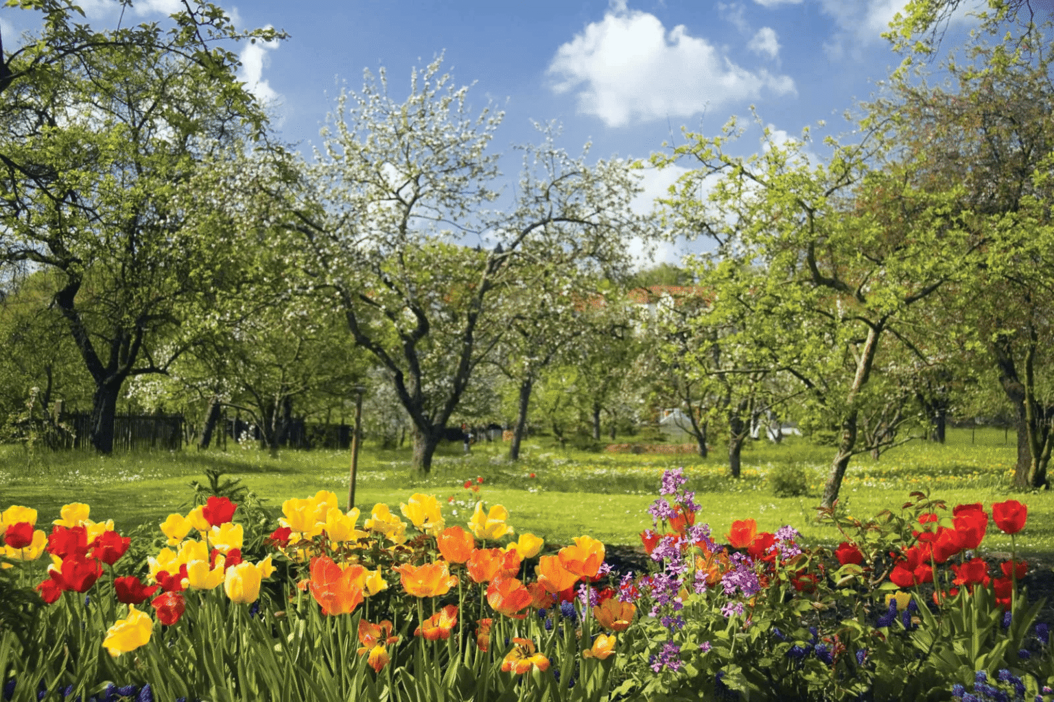The Joy of Spring Season Photos: A Friendly, Simple Guide