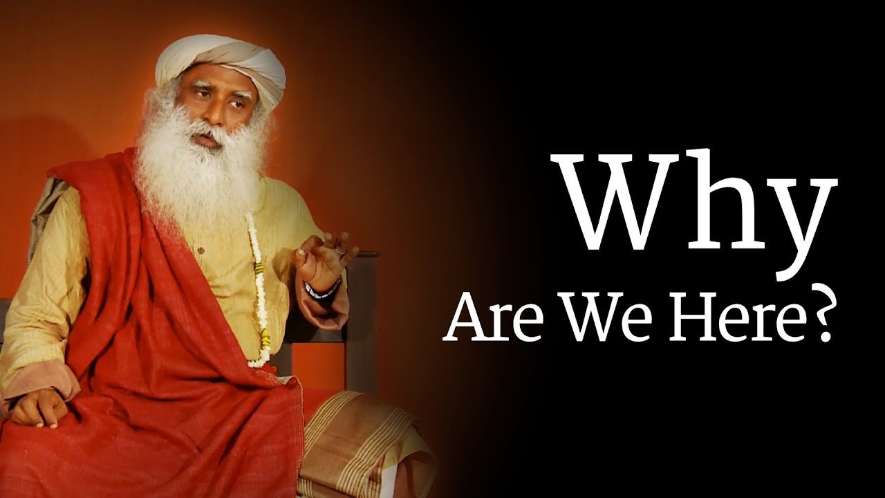 The Power of Asking Why Questions and How to Use Them