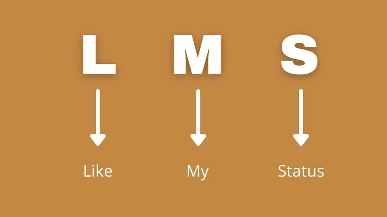 What Does "LMS" Mean in Urban Slang?